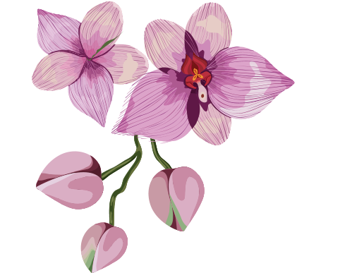 flor